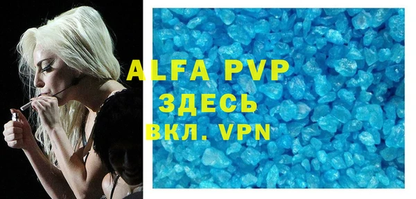 сатива Абинск