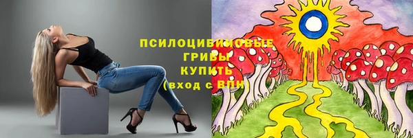 тгк Абдулино
