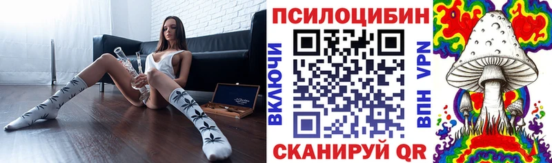 магазин продажи наркотиков  Весьегонск  Галлюциногенные грибы GOLDEN TEACHER 