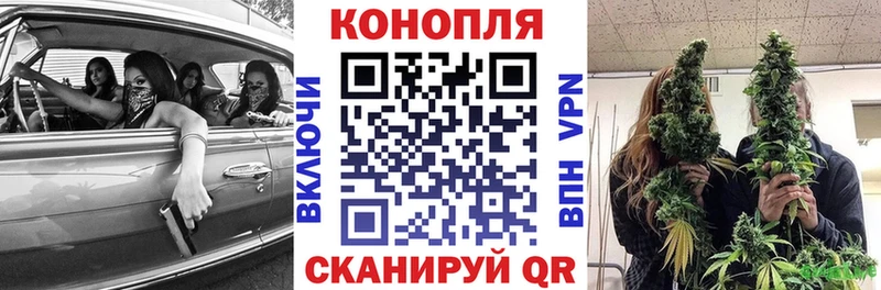 цены   Весьегонск  Бошки Шишки конопля 